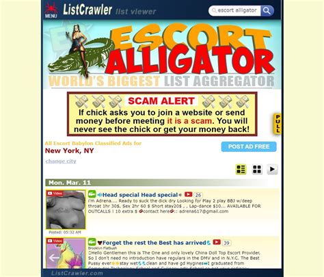 alligator listcrawler